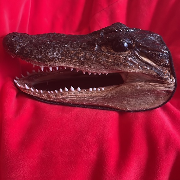 VEGAN alligator art crocodile art gator head art piece not real faux leather - Picture 4 of 4